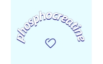 認識一下磷酸肌酸鈉